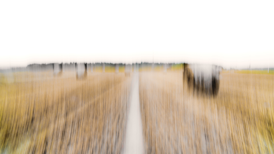 Straw Field Roles II - ID 008805