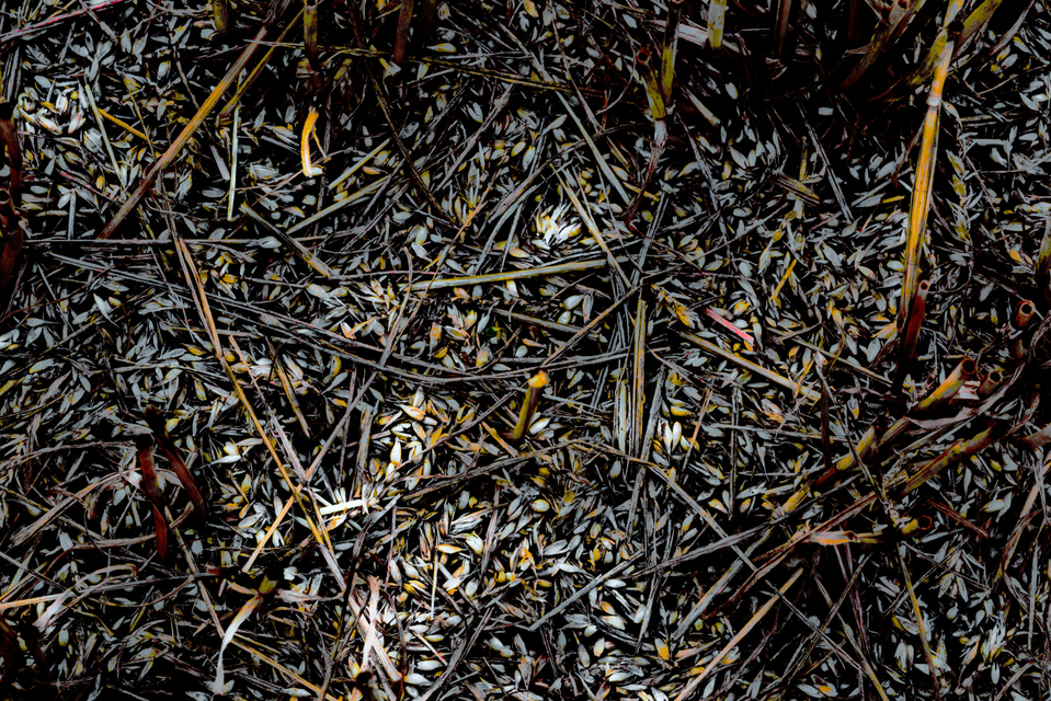 Field Ground II - ID 008807