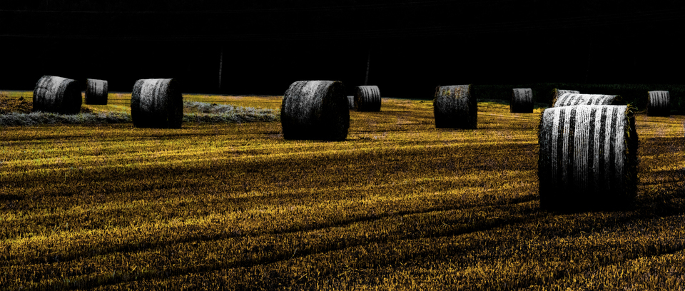Harvested Straw Field Roles I - ID 008808