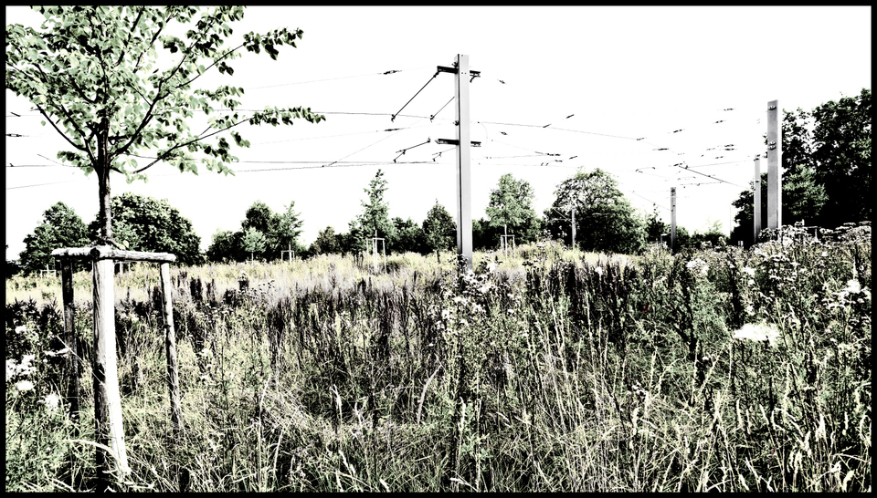 Tram Track IV - ID 008847