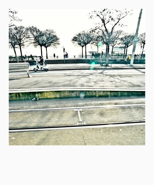 At the Lake Zurich III - ID 008880