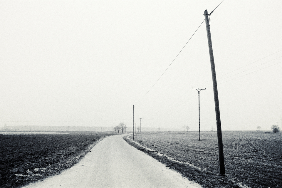 Street from Farm I - ID 008912