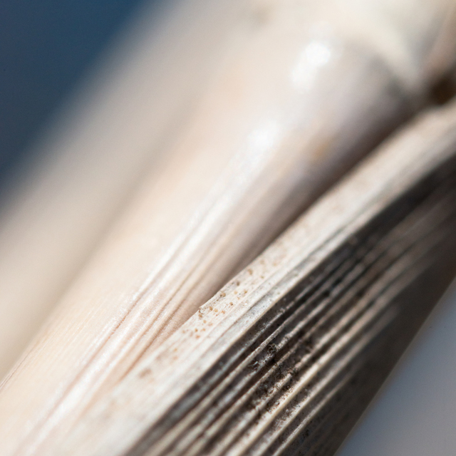 Construction II - ID 008981