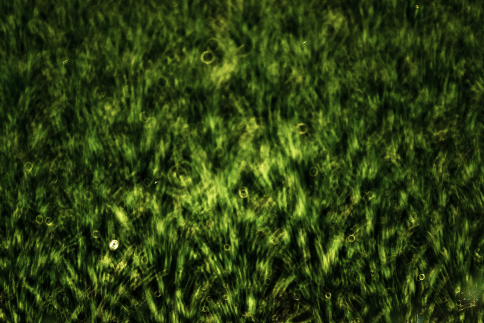 Dark Greenfield Circles - ID 008984