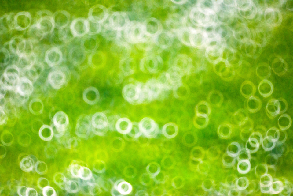 Bright Greenfield Circles - ID 008985