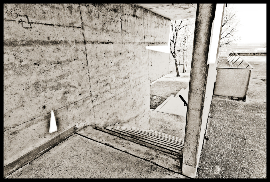 Grey III - ID 009011