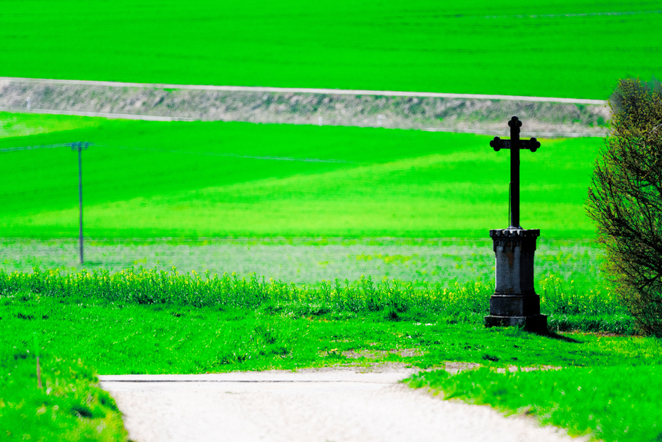 Cross Green - ID 009035