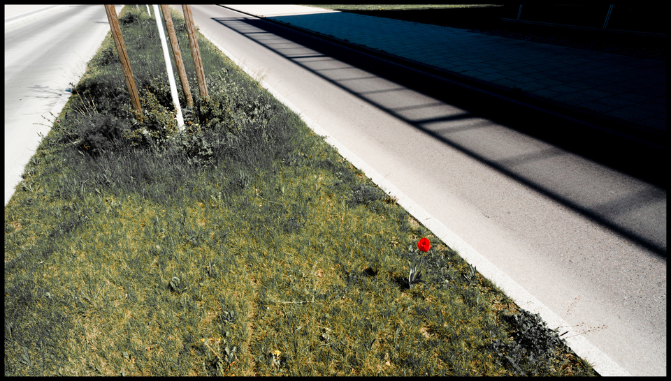 Cinema Down - ID 009083