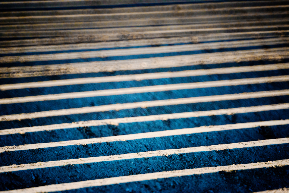 Prepared Potato Field I - ID 009088