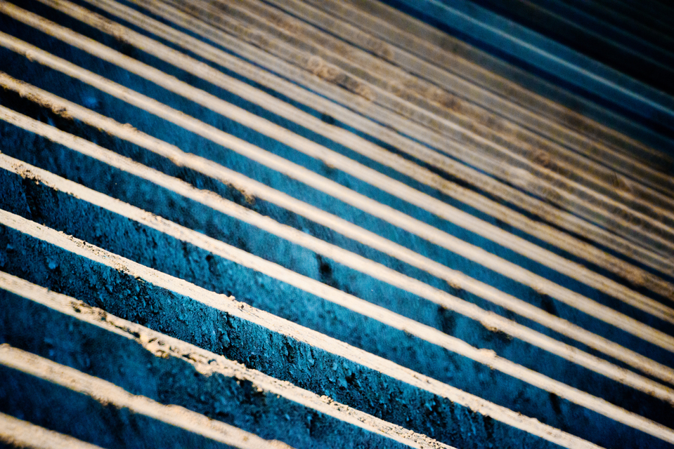 Prepared Potato Field II - ID 009089