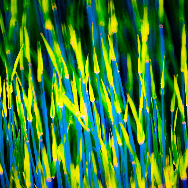 Arrows III - ID 009097