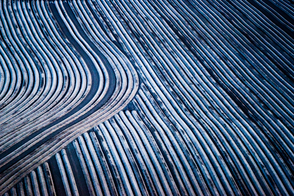 Prepared Potato Field VIII - ID 009103