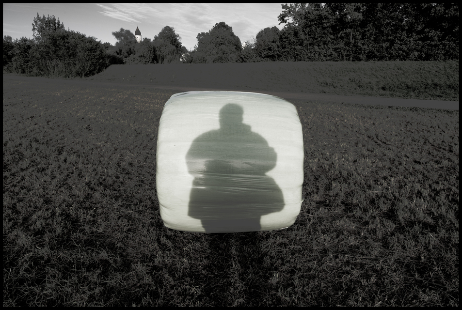 Self Shadow - ID 009171