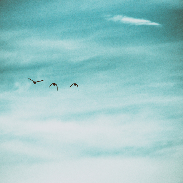 Formation II - ID 009184