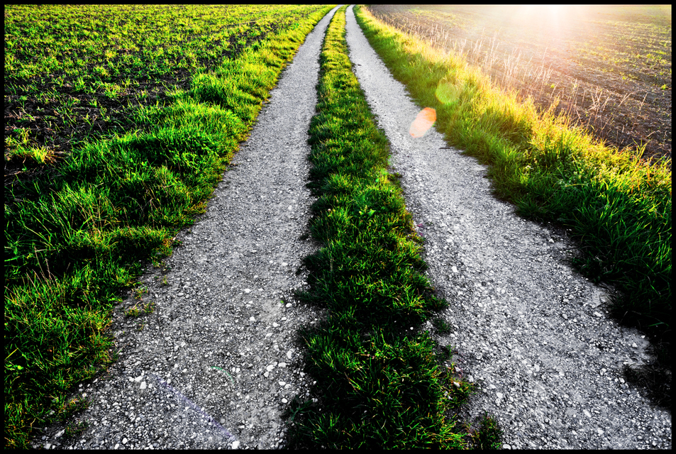 Sunny Sunday I - ID 009193