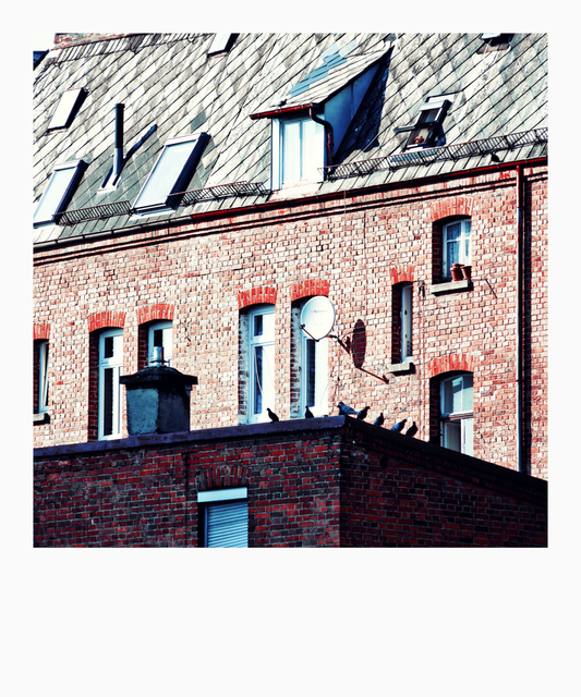 Beaming In and Out - ID 009205