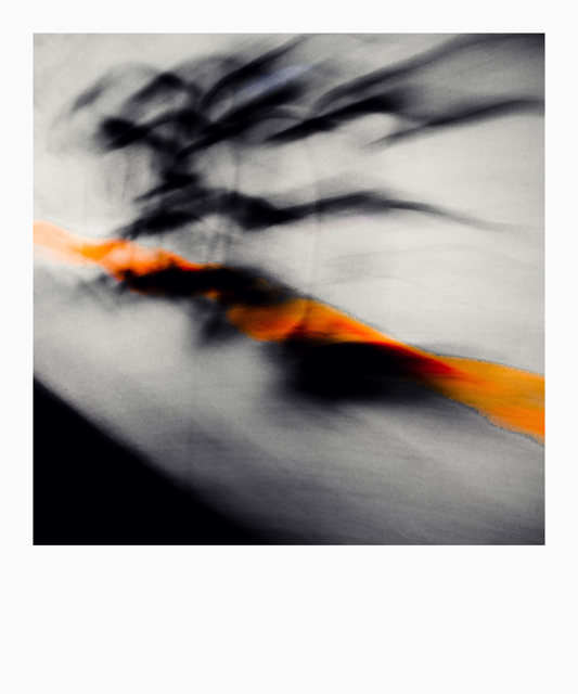 Orange on the Wall - ID 009212