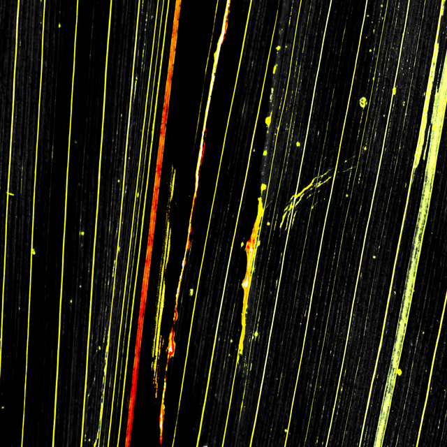 Dark Leaf III - ID 009245