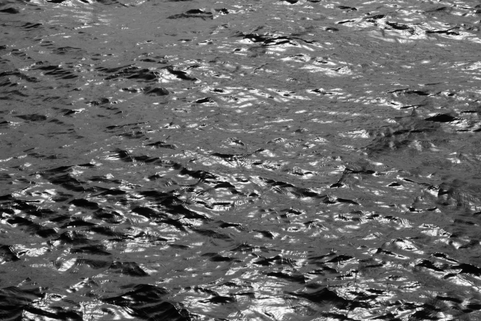 Dark Water in Evening Sun I - ID 009257