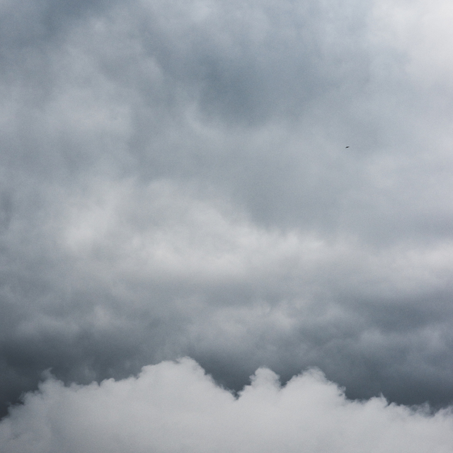 Bird over Clouds - ID 009268