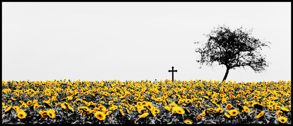 Sunflower Tree Cross - ID 009272