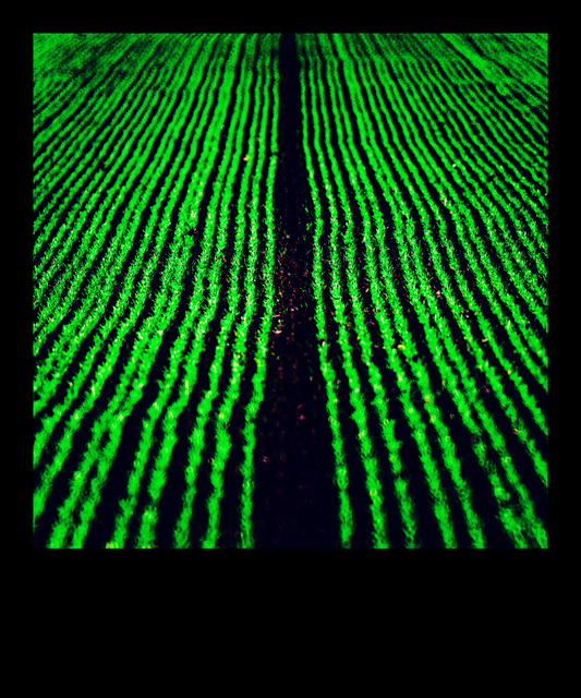 New Green III - ID 009284