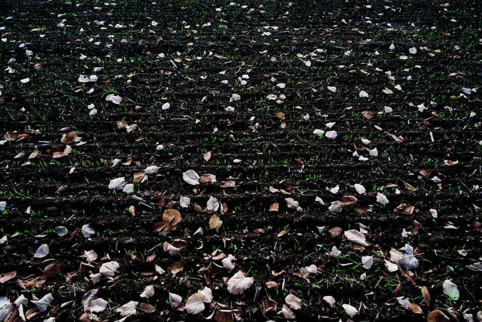 New between Past - ID 009309