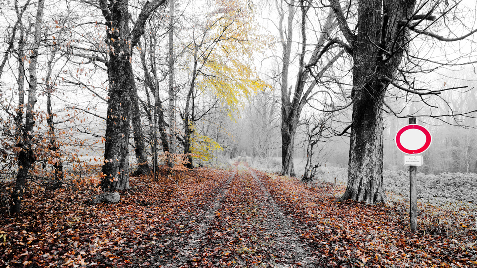 Chestnut Lane I - ID 009334