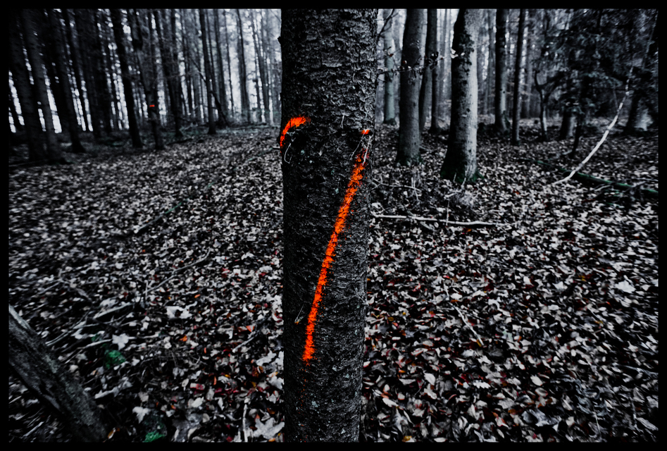 Signs II - ID 009347