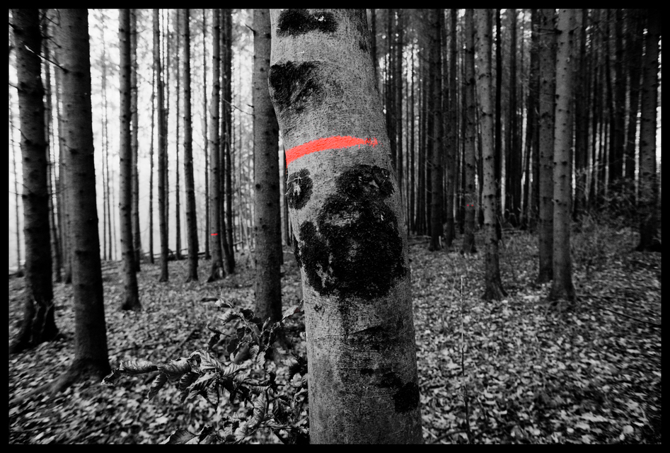 Signs III - ID 009348