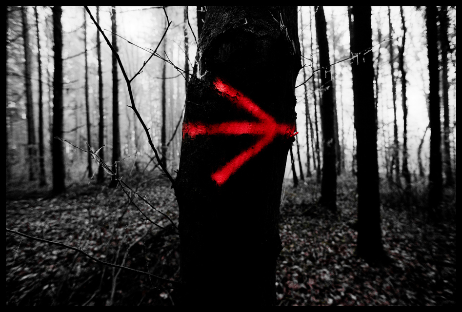 Signs VII - ID 009352