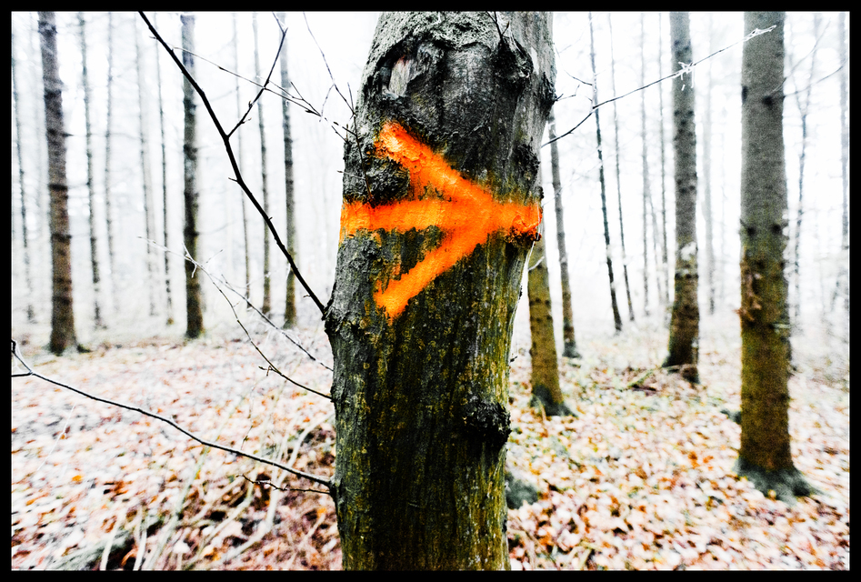 Signs VIII - ID 009353