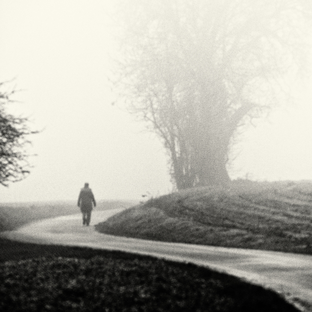 Curved Walk - ID 009391