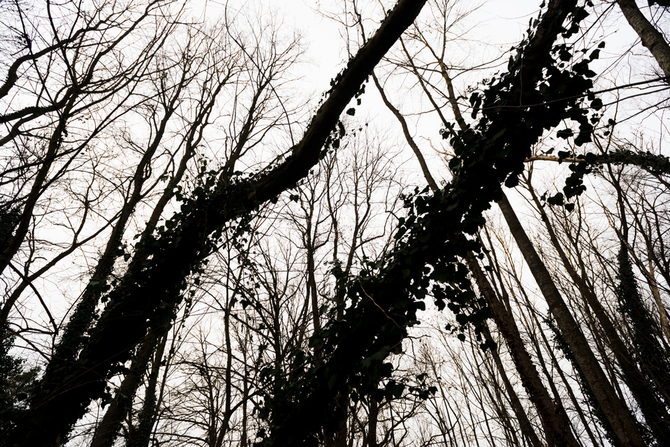 Double Stroke - ID 009392