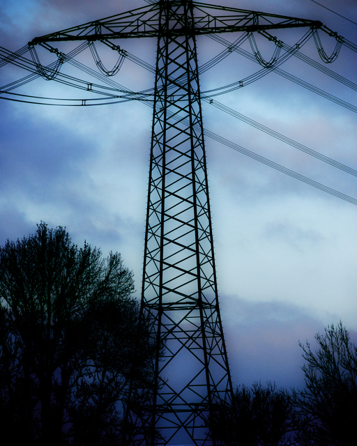 Power Tree - ID 009423