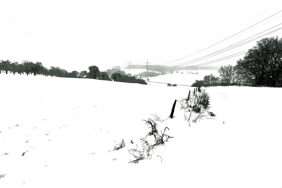 Winter VIII - ID 009473