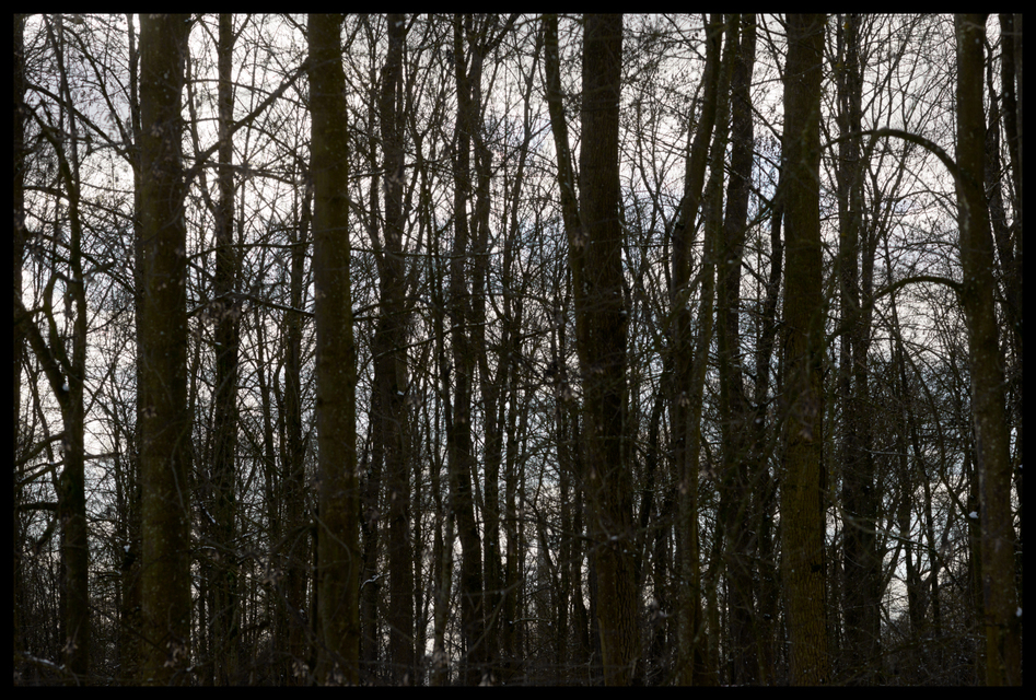 Blueish Sky Behind - ID 009476