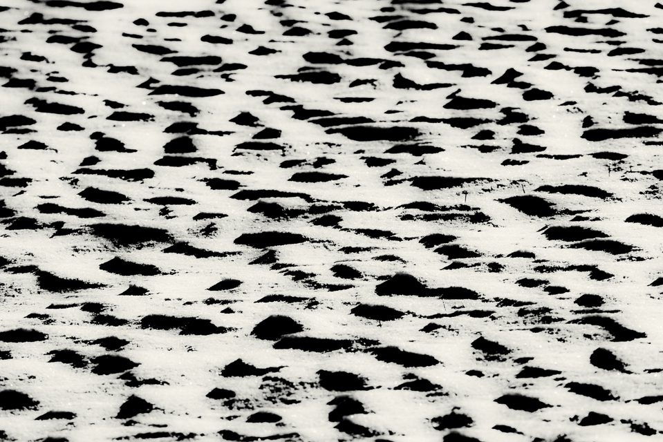 Snow Field Dark - ID 009483