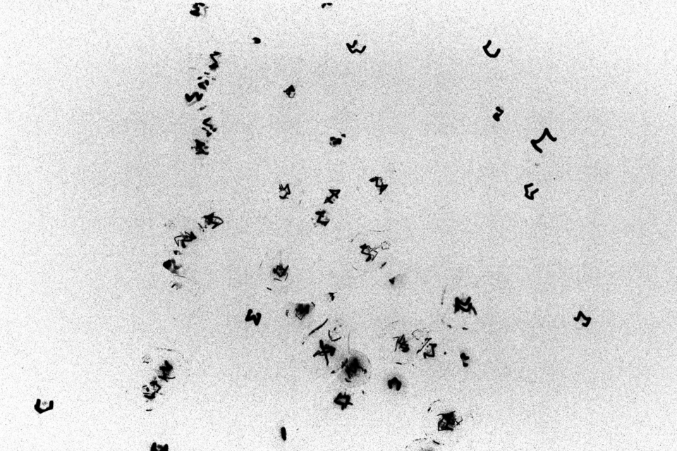 Light Balls III - ID 009553