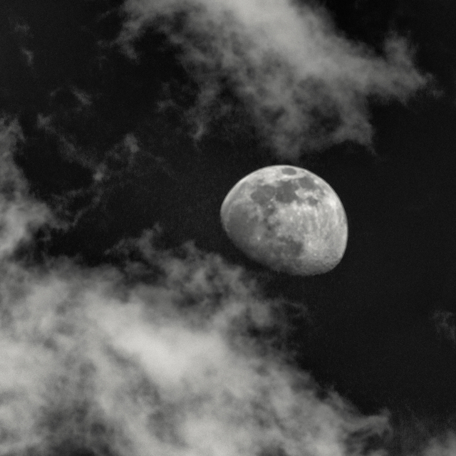 Moon Between - ID 009581