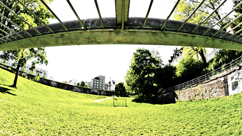 Own Goal - ID 009584