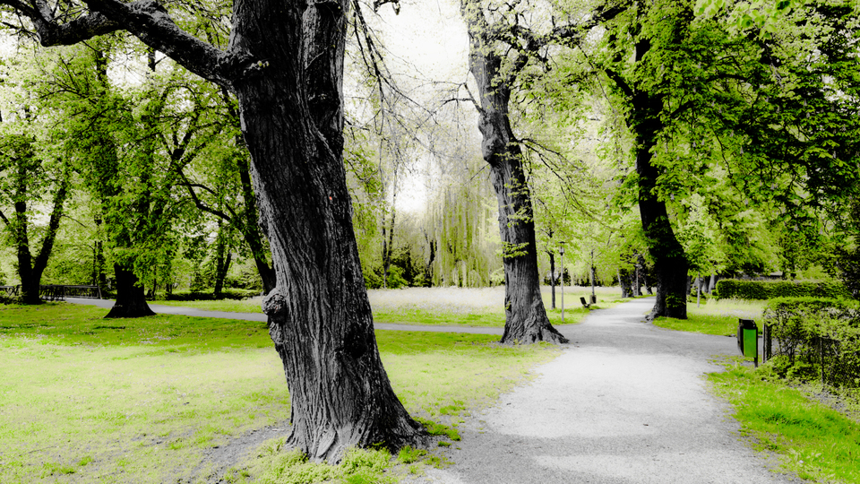 Park Lane I - ID 009600