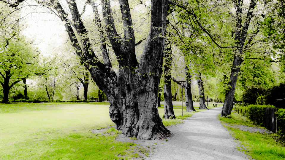 Park Lane II - ID 009601