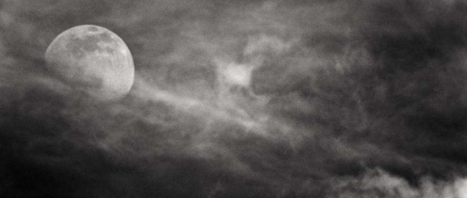 Moon Whirl - ID 009604