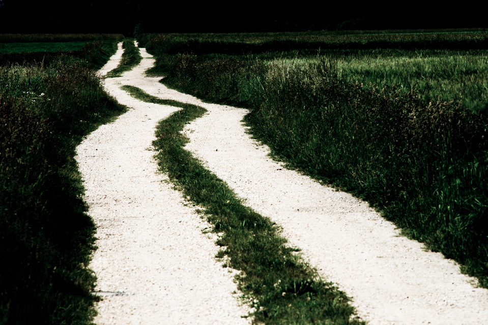 Not Straight - ID 009621