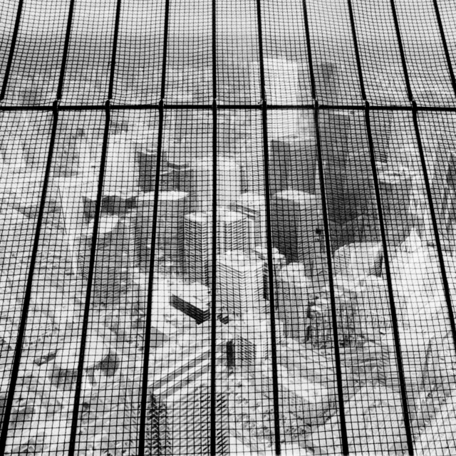 CN Tower View II - ID 009632