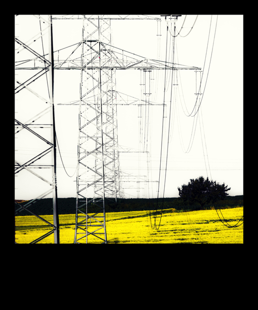 Yellow Field II - ID 009646