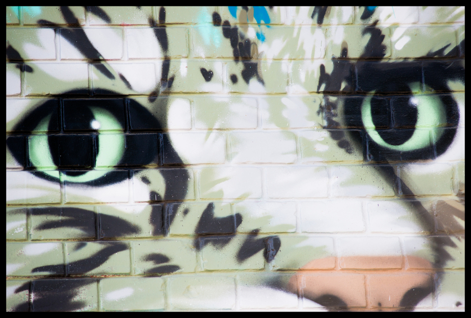 Wall Cat II - ID 009653