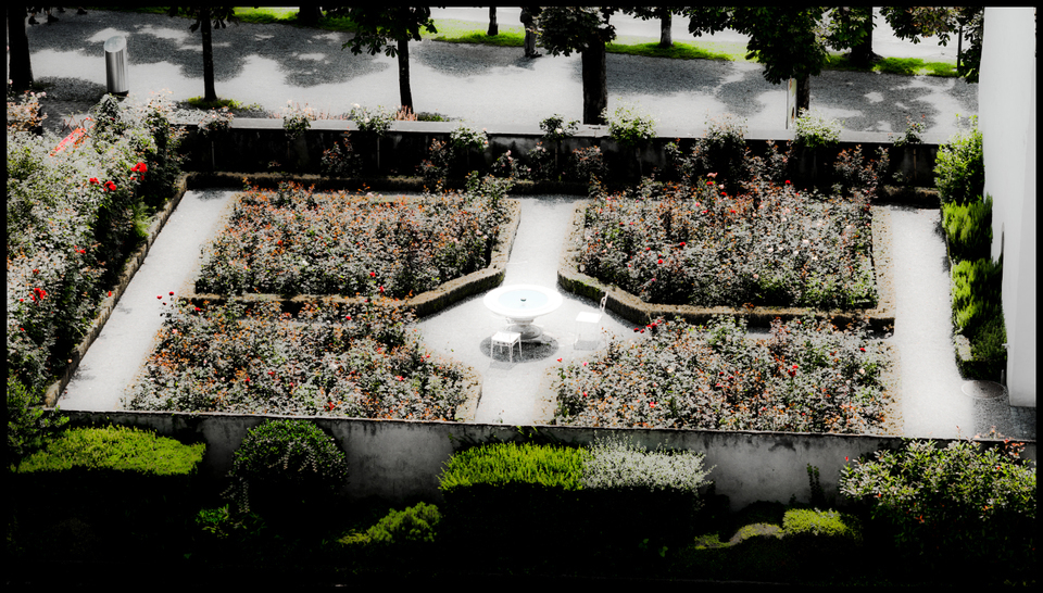Rapperswil Rose Garden - ID 009680