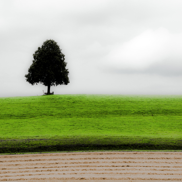 Solitaire - ID 009693